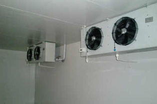 供應(yīng)休寧縣肉類冷凍庫(kù)制冷設(shè)備壓縮機(jī)日常保養(yǎng)及維護(hù)介紹