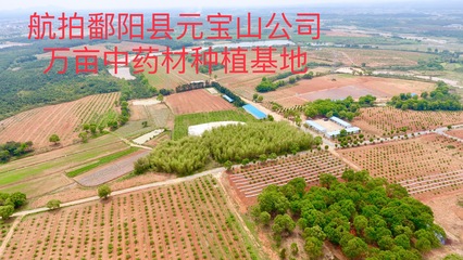 中醫藥產業鏈高質量發展與文旅融合 聚焦上饒市新規與旅游信息服務